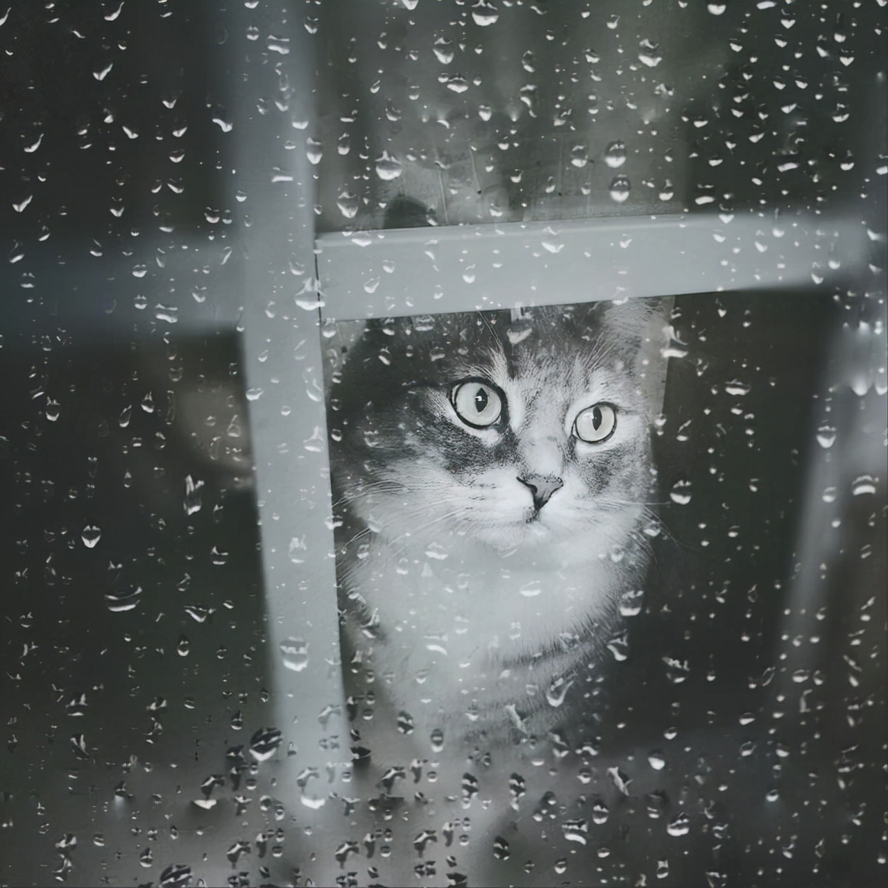 怎样描写秋天？从不同角度来刻画秋天的特点