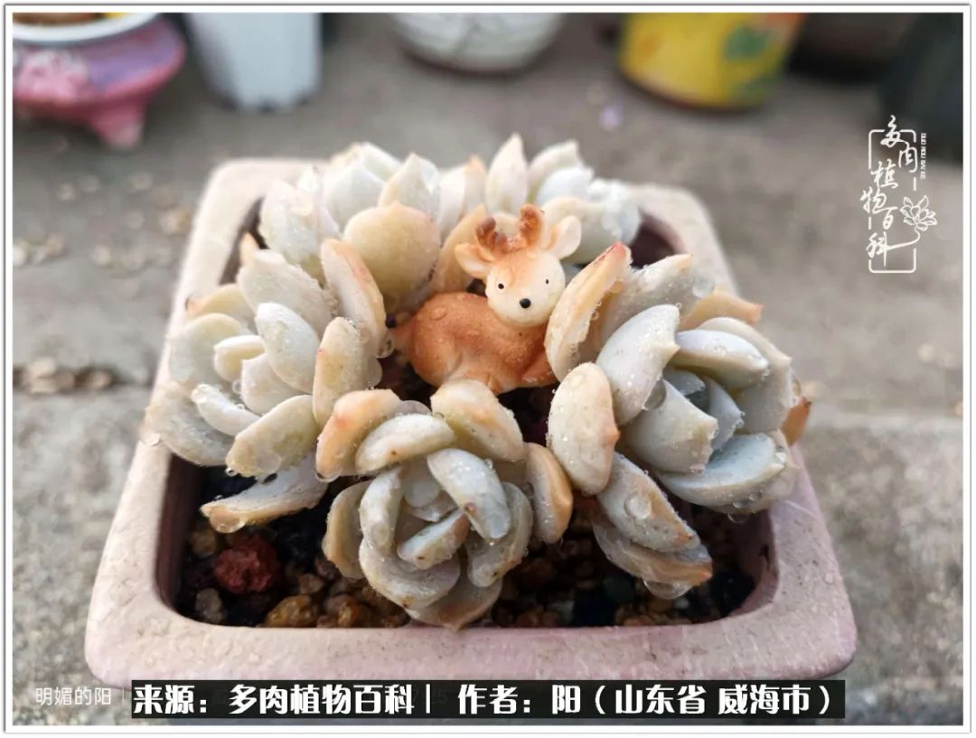 浜洪棿鐑熺伀鑷湁涓囧崈棰滆壊,浜洪棿鐑熺伀鐨嗘槸骞冲嚒棰滆壊