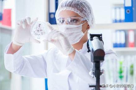 兔科动物的特点,兔科动物有哪些属