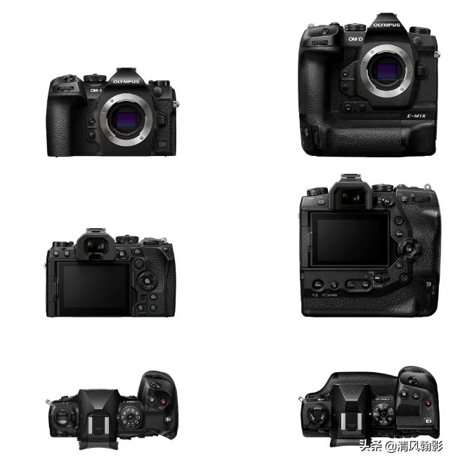 拍鸟买r5还是r6好,拍鸟买尼康