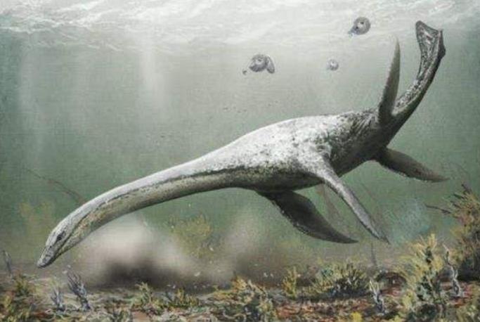 青海湖异象之谜解密,青海湖发现神秘现象