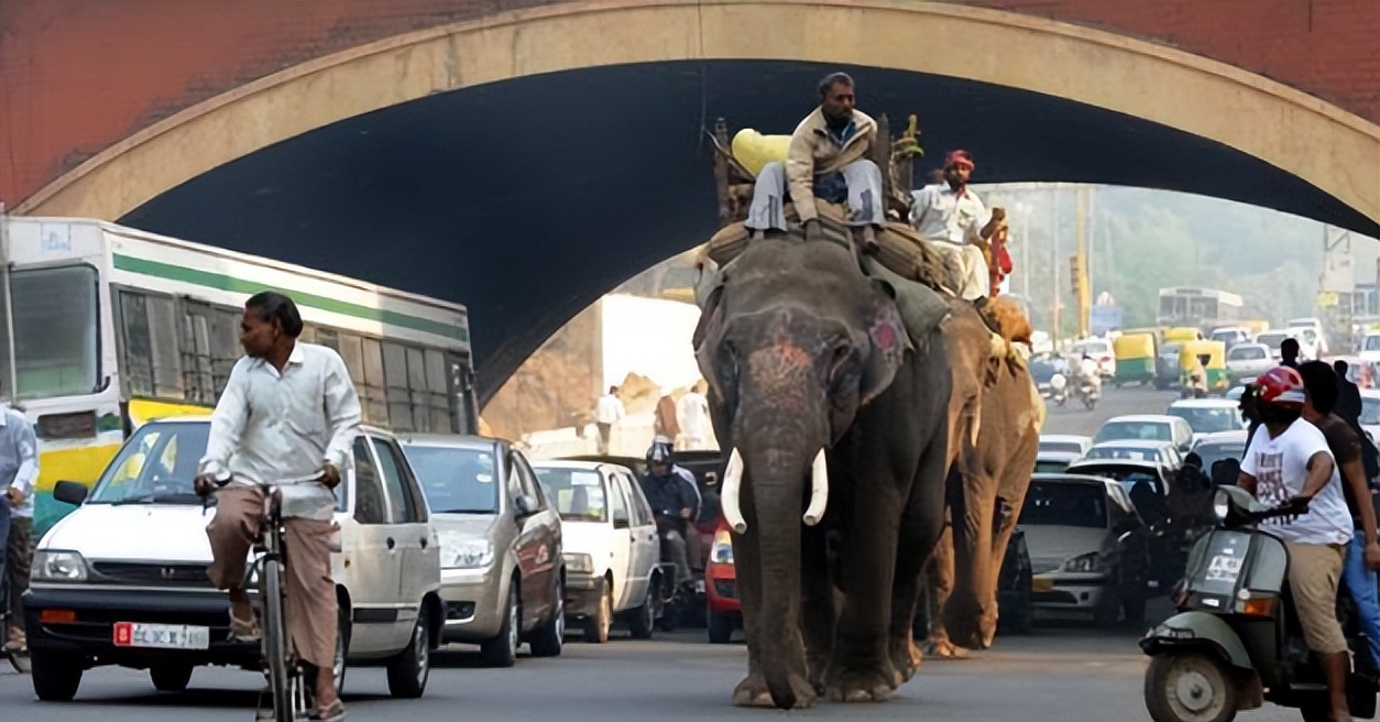 国人去缅北卖“人肉”，挂平台公然贩卖，竟然是“合法”的？