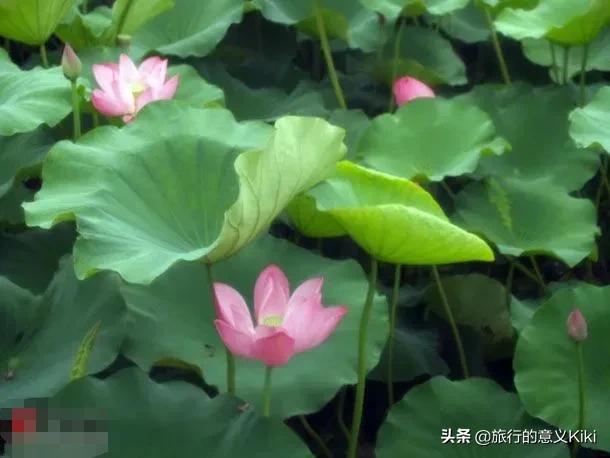 上海自驾西山旅游攻略,苏州东山一日游自驾游最佳路线图