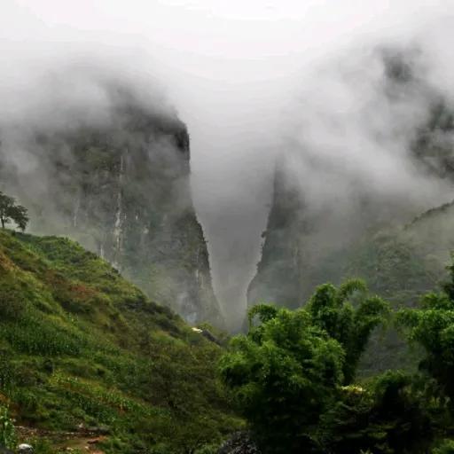 萍聚完整版本,萍聚完整版全集