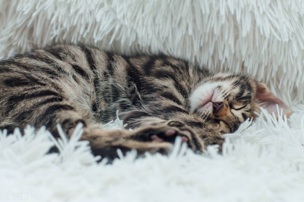 我拿命生下女儿,婆婆却把姑姐的孩子过继给我们,让人心寒