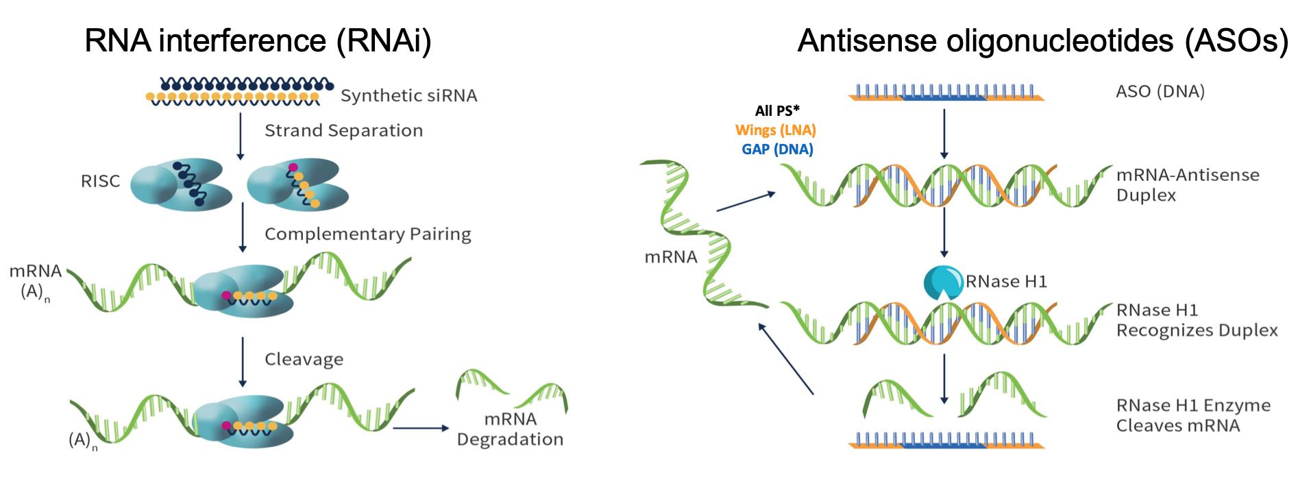 涔欒倽鏂拌嵂taf涓村簥璇曢獙,涔欒倽涓村簥鏂拌嵂2024