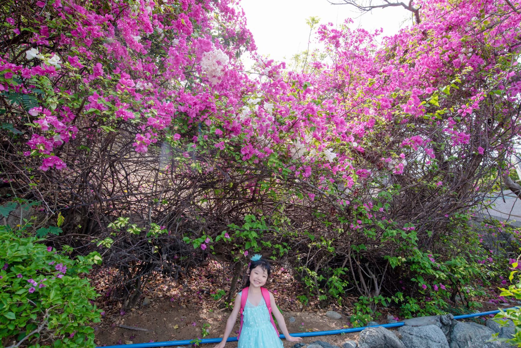 泰国三亚旅游对比,三亚和泰国旅游选择哪里