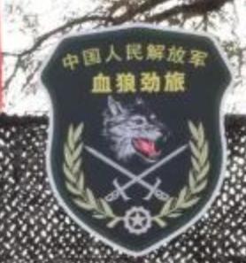 解放军最接近美军编制的部队,美军分析解放军特种部队