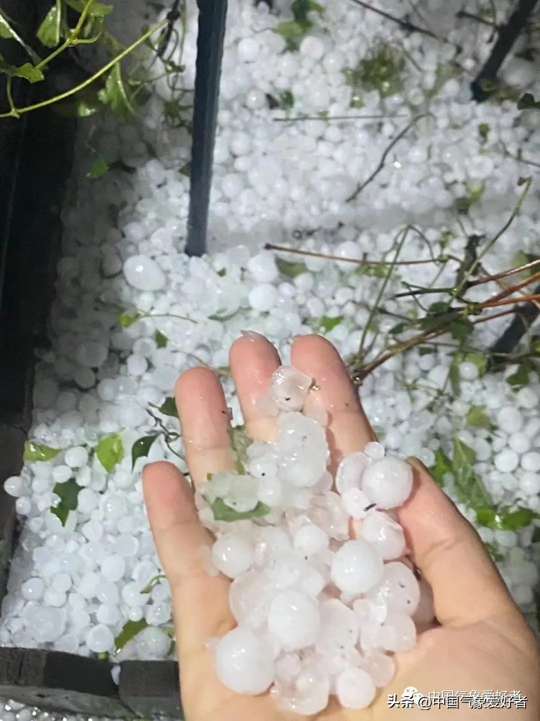 重返超台!轩岚诺正携狂风暴雨靠近华东,随后避开我国陆地去韩国