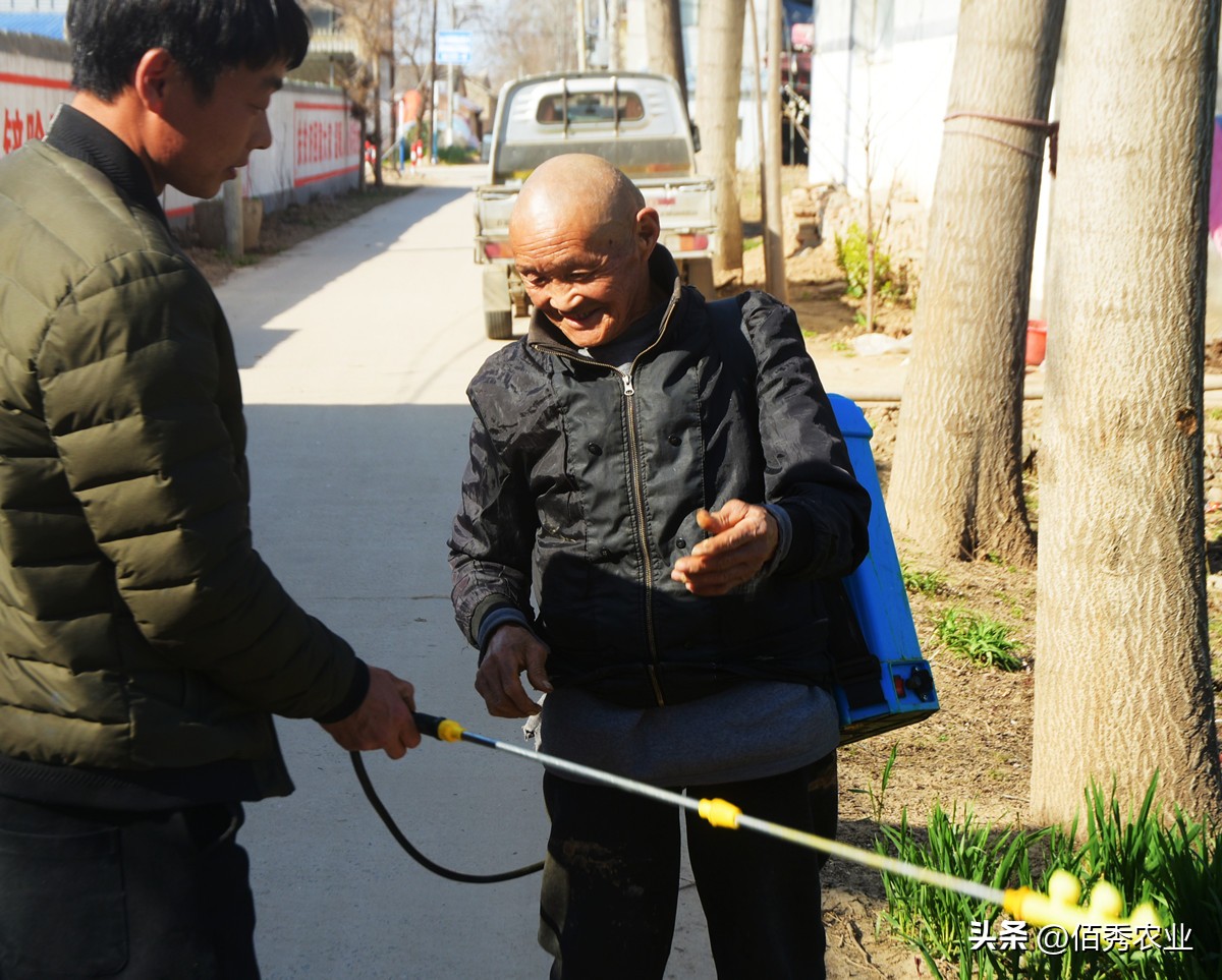 树林除杂草用什么除草剂最好,除庭院杂草用什么农药最好