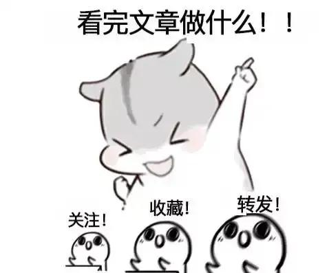 下半年发布的旗舰机最值得买,亮点颇多盘点即将发布的5款新机