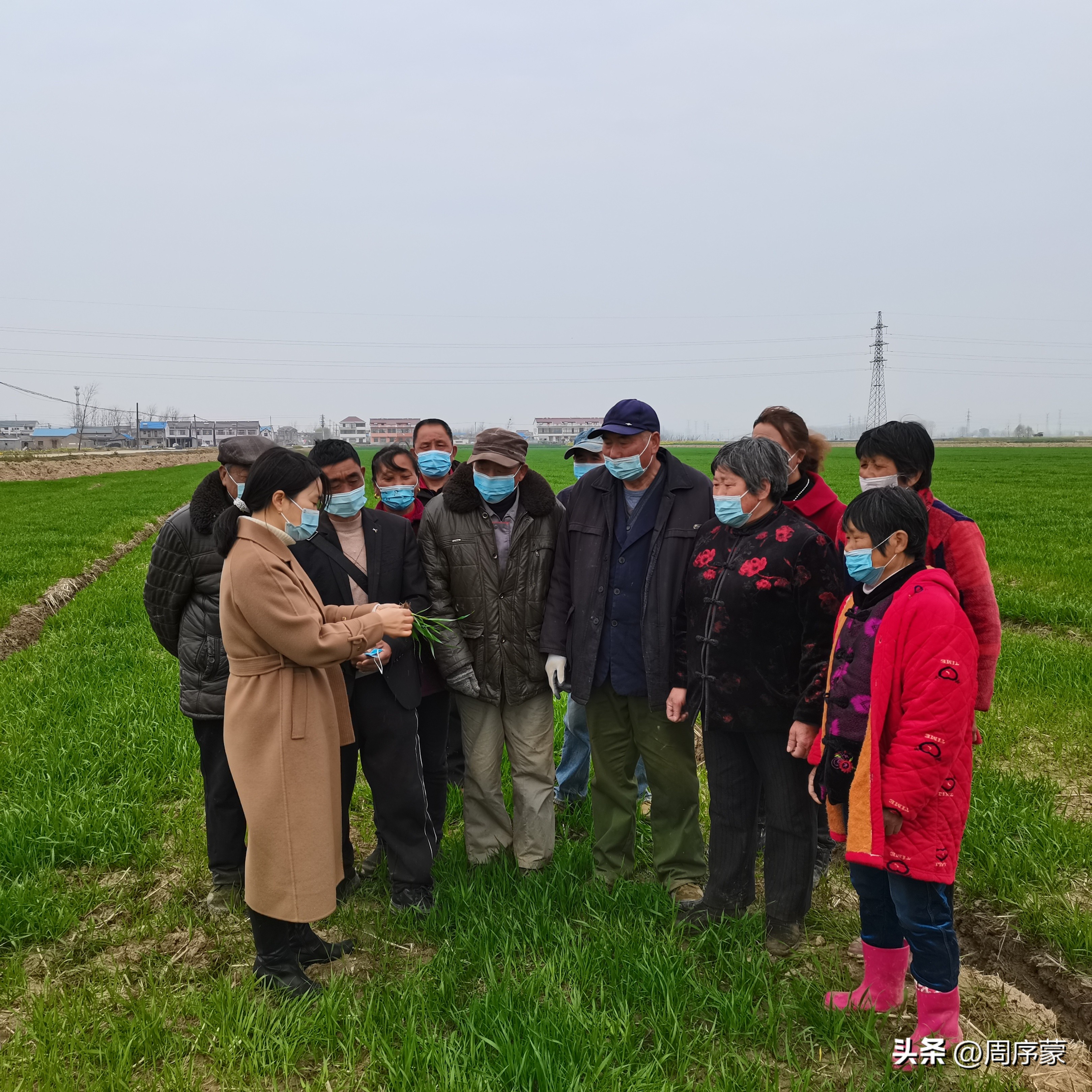 江苏响水：农民吃下“定心丸”春风化雨“春来早”