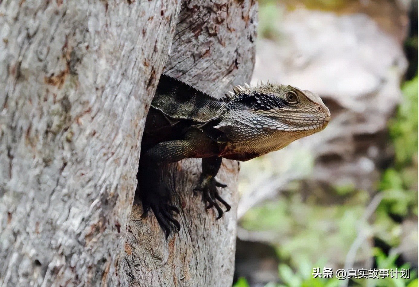 患上暴食症和厌食症,减肥患上暴食症