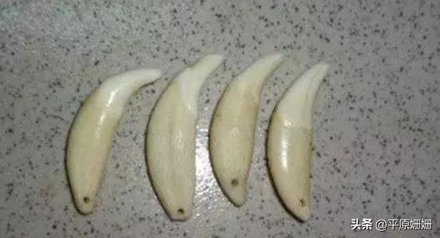 神秘诡异的职业,神秘职业