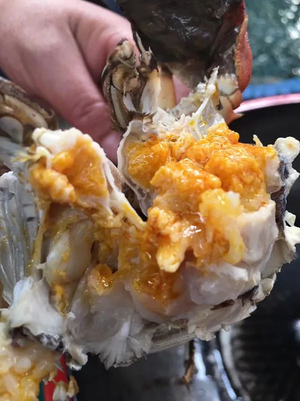 苏州西山太湖精品民宿,苏州太湖最强民宿推荐