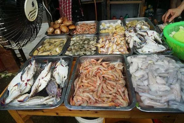 比东极岛更值得去的地方,东极岛和渔山岛哪个鱼多