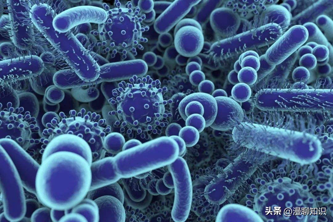 奶牛乳房炎发病原因,奶牛乳房炎的原因及预防措施