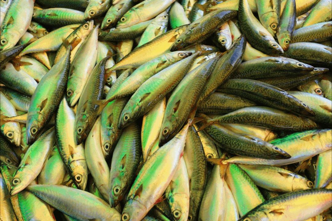 北纬37度一座神奇的城市,北纬37度神奇之地