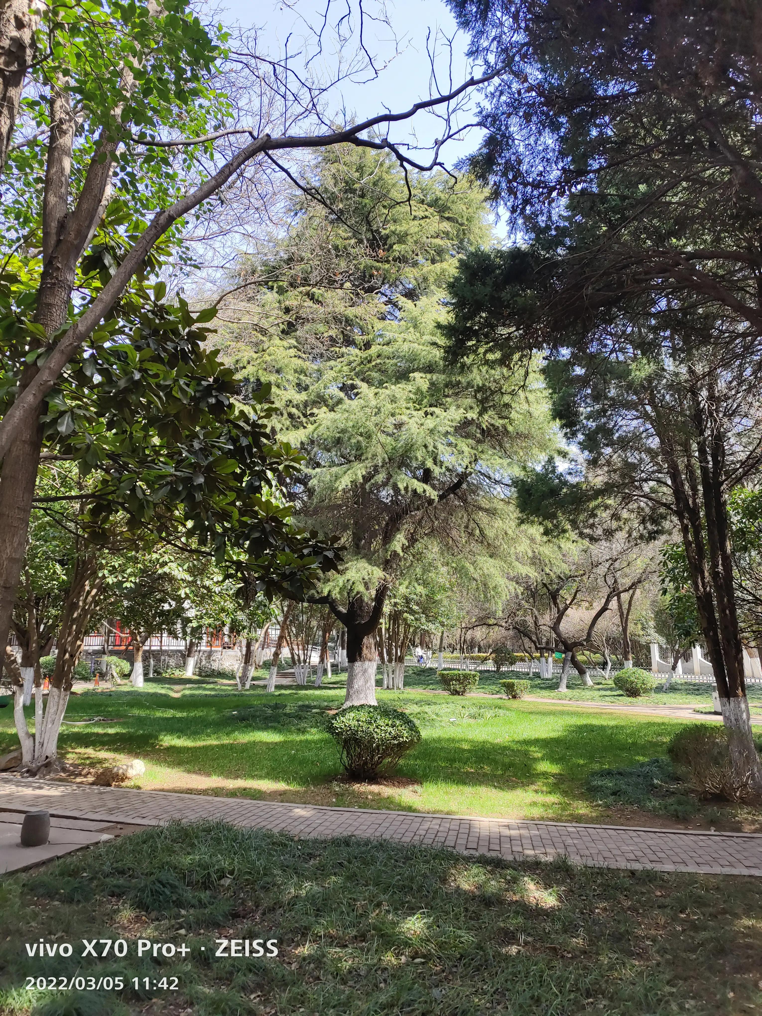 相山公园一日游,值得一去的山体景观公园