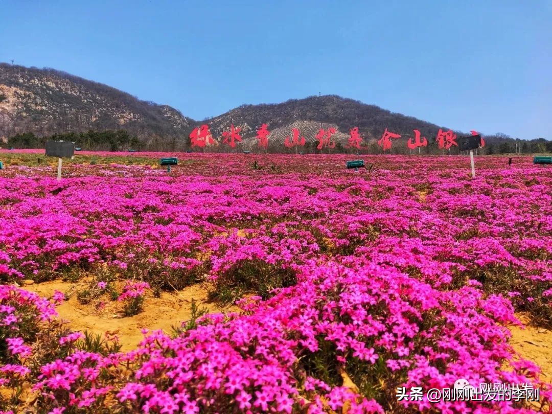 大连60岁以上老人免费景点,大连过年免费景点大全