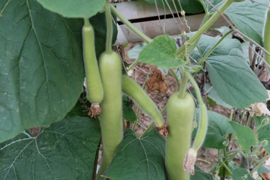 杭州冬日旅游自驾,杭州周边避暑两日自驾游攻略