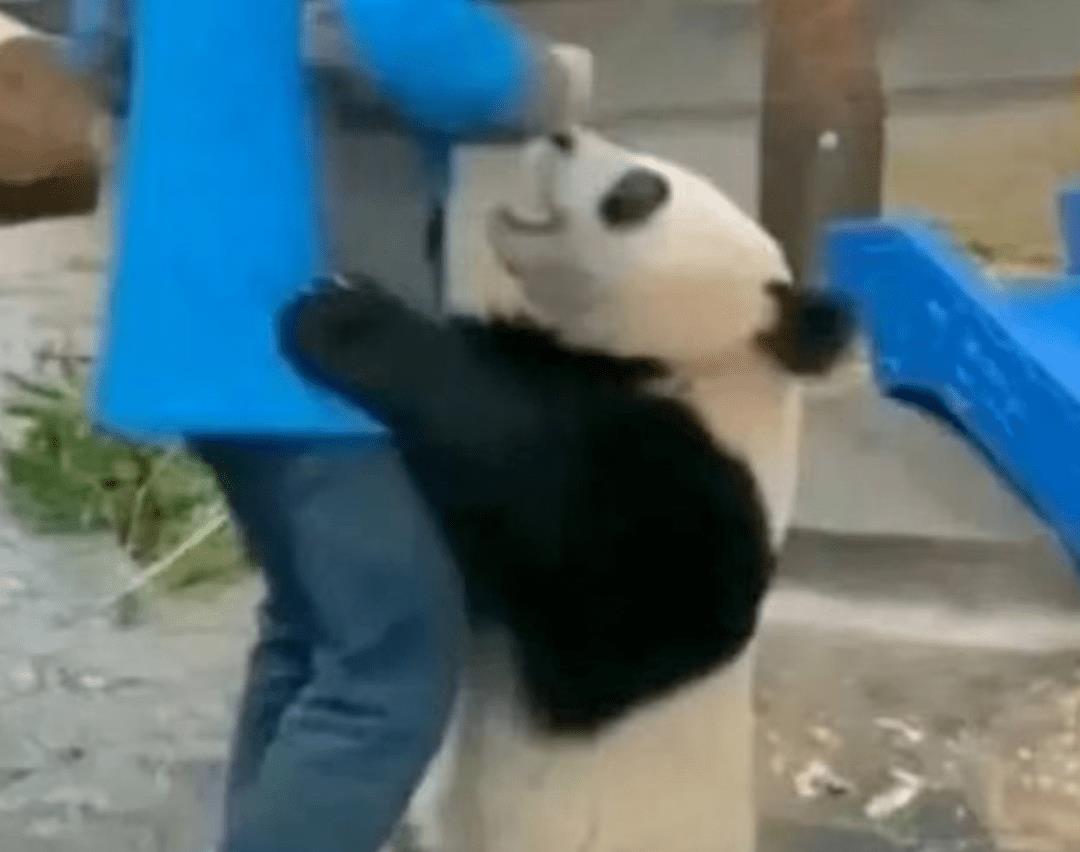 “被家长强迫给室友带纪念品”，破坏了多少宿舍关系