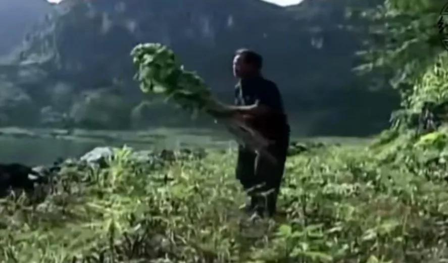 400亩良田一夜之间变成一个大湖,广西400亩田竟然一夜间变吨湖