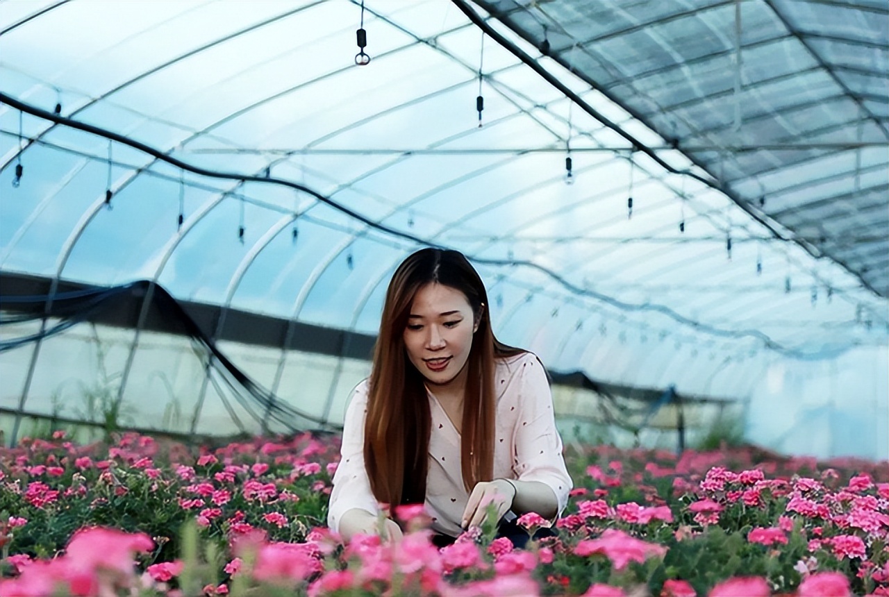 香港90后女孩贵州扶贫，5年时间孕育花海一片，带动农户创收200万