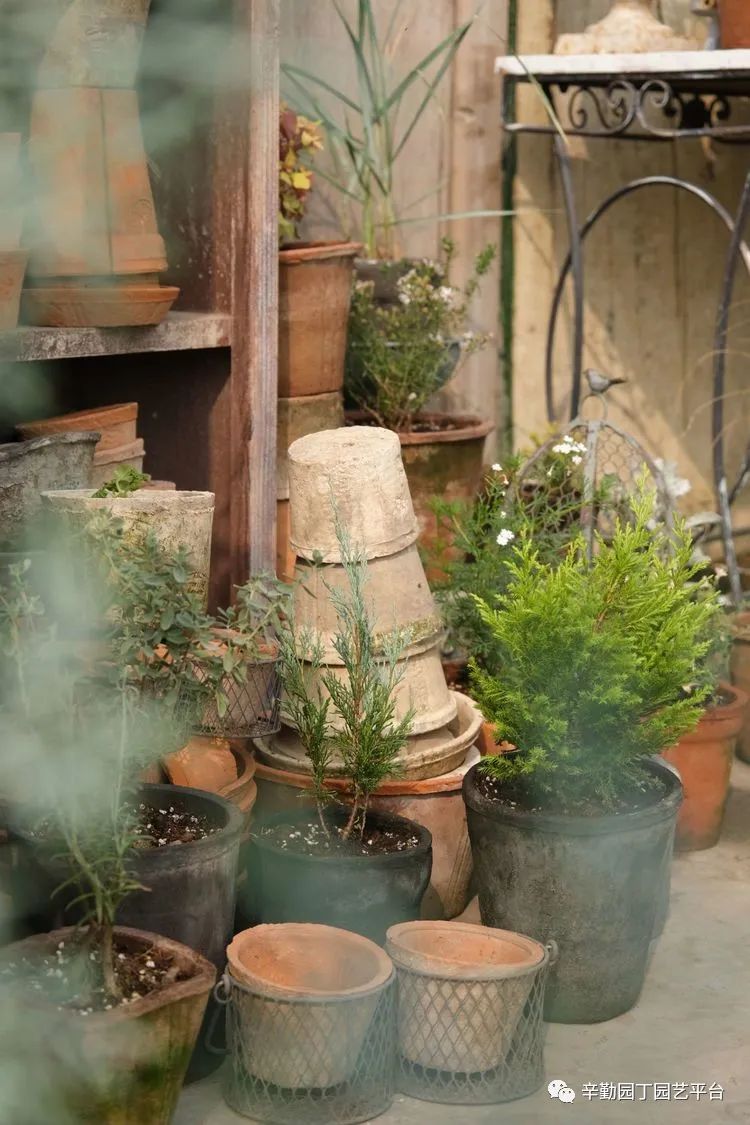 第八届园丁奖露台组《030号》洛基花园