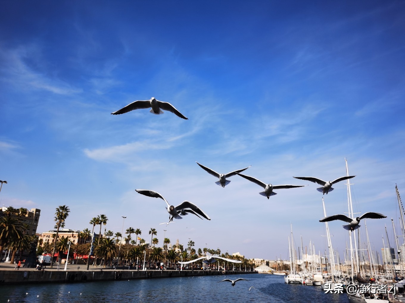 冬日暖阳拔“牙”记（34）巴塞罗那：高迪打造的欧洲之花（上）