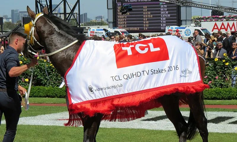 原来，茅台、TCL、三一重工……早成了国外赛马的“资深玩家”