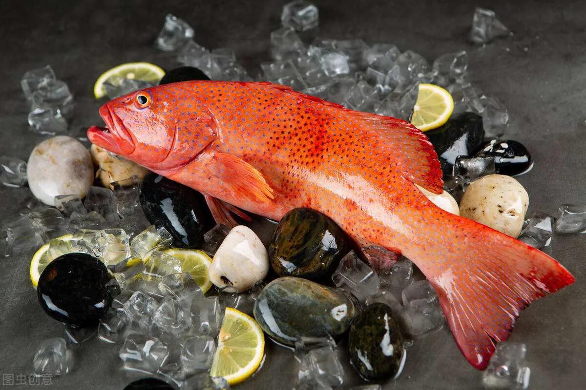 鱼类菜肴大全,鱼类食材大全