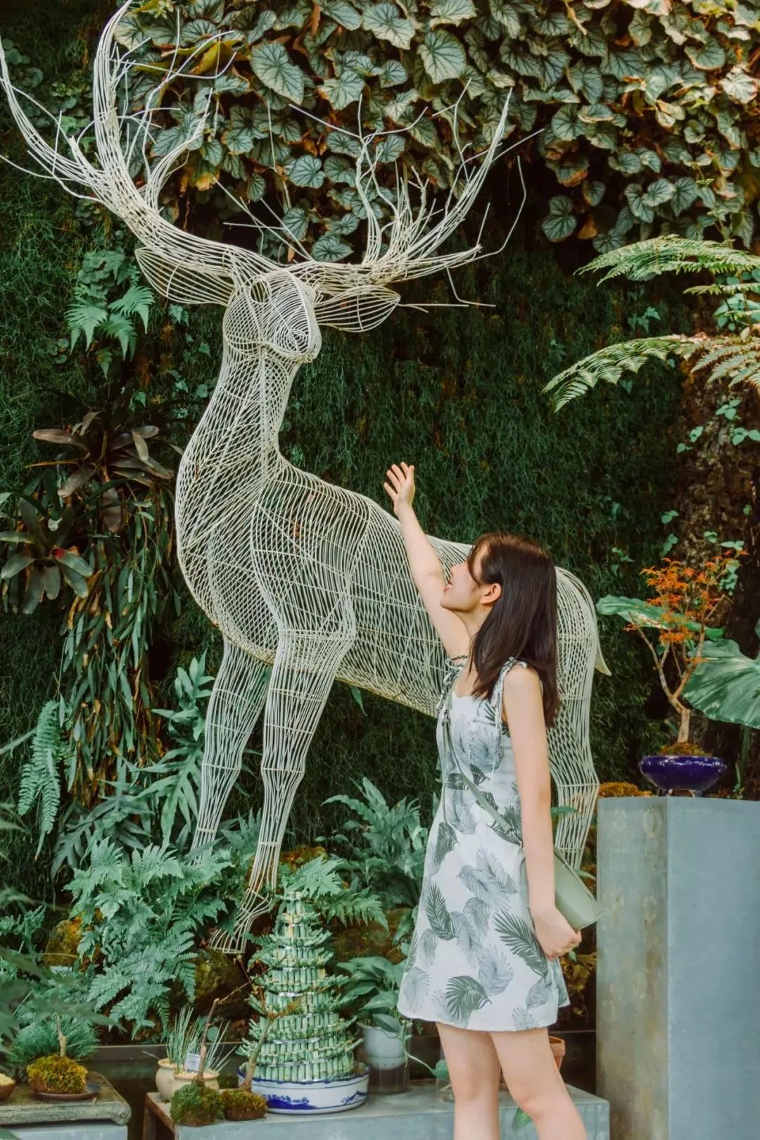 深圳小众好玩的景点排名榜,深圳小众海边旅游