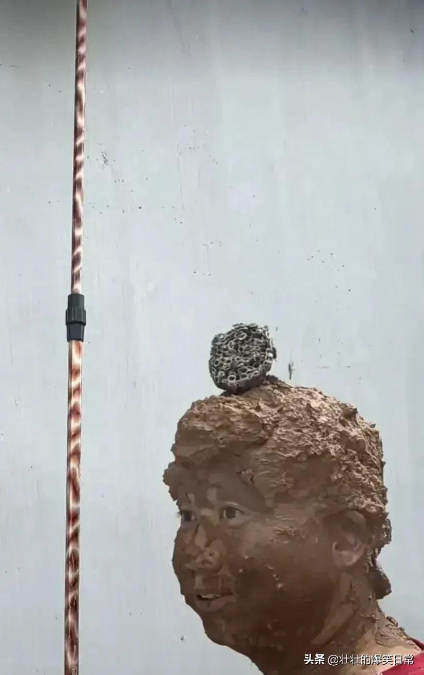 狮子魔性的笑声笑死人,狮子搞笑片