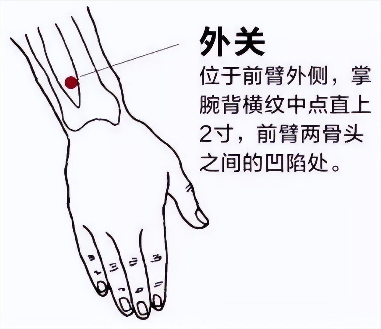 过年牙疼有什么好方法,半夜牙痛的受不了怎么缓解