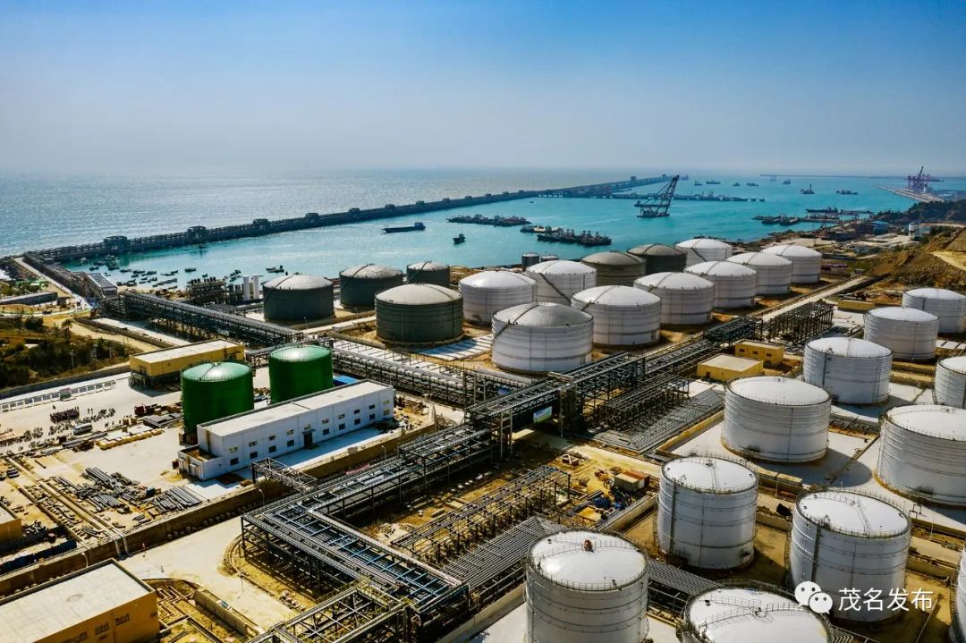 “二次创业”！起而行之，奋进茂名！