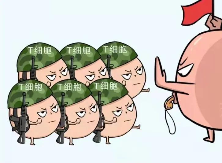 pd-1免疫治疗肺癌,什么是肺癌的免疫治疗