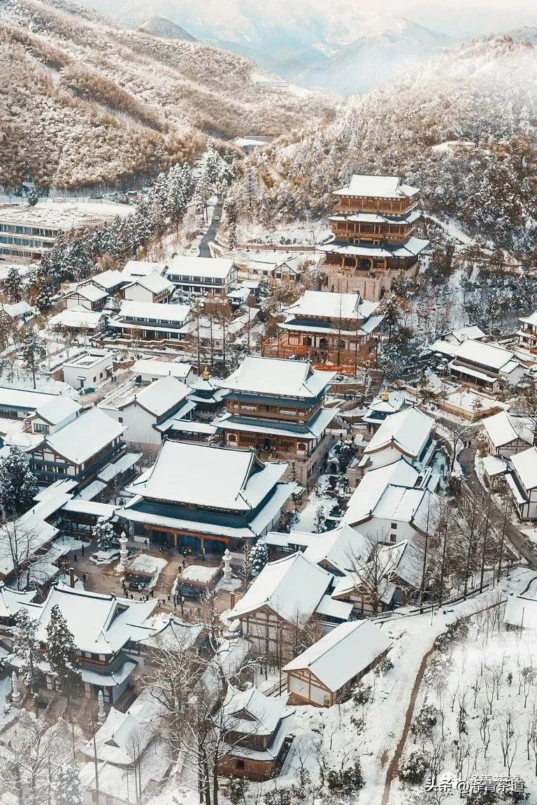 福建中国茶叶第一大省,中国茶叶排名第一省