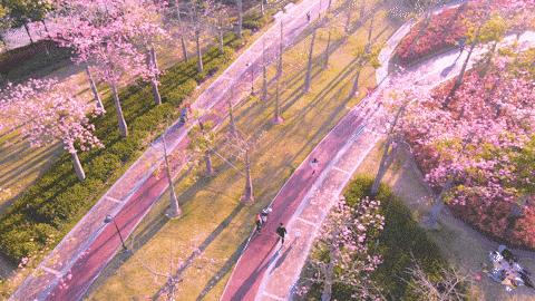 珠海景区最新免费景点推荐,珠海旅游攻略免费景点大全