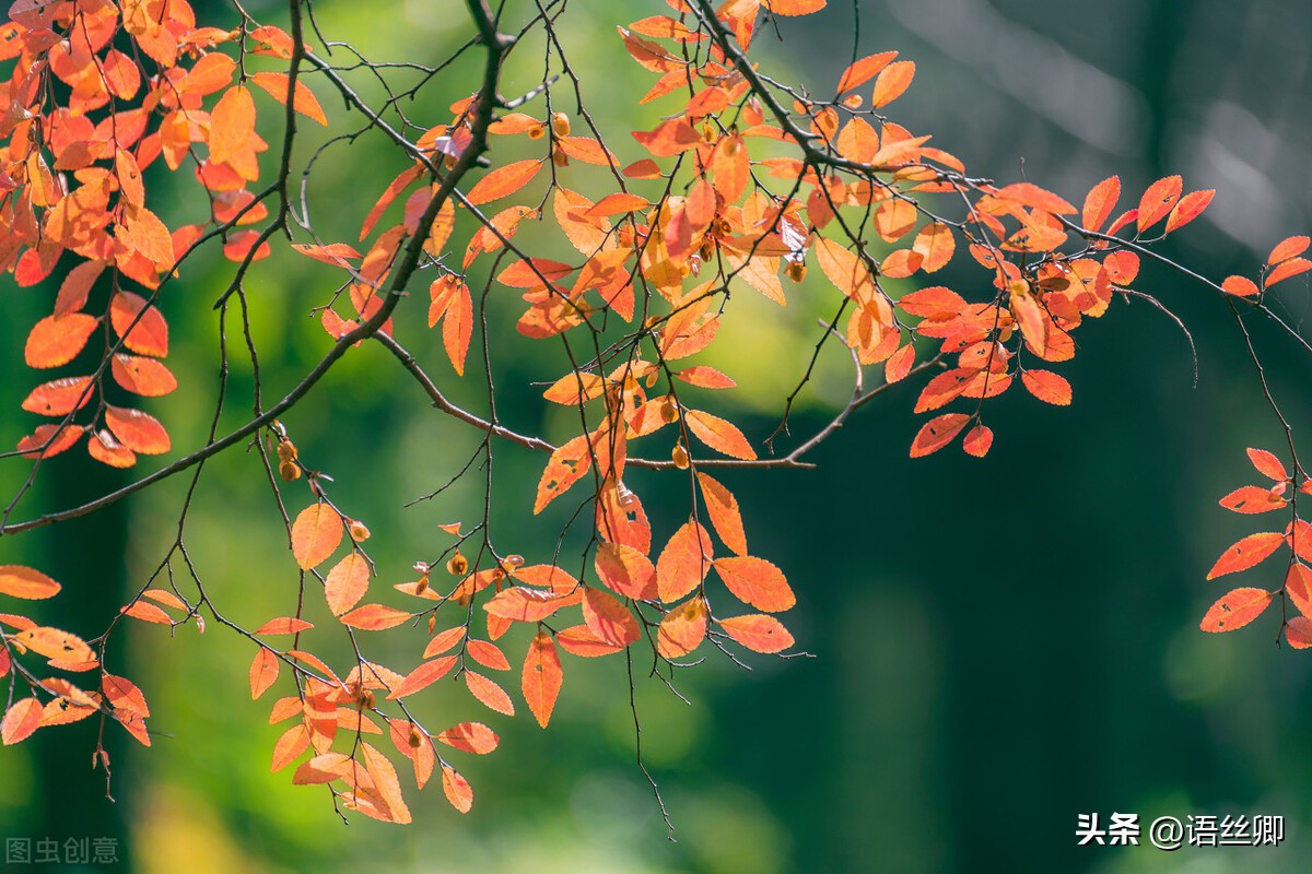 随笔美好的一瞬间,随笔时光匆匆岁月无痕