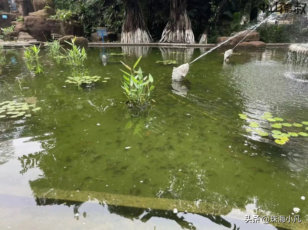 中山市逸仙湖公园改造,中山逸仙湖规划图