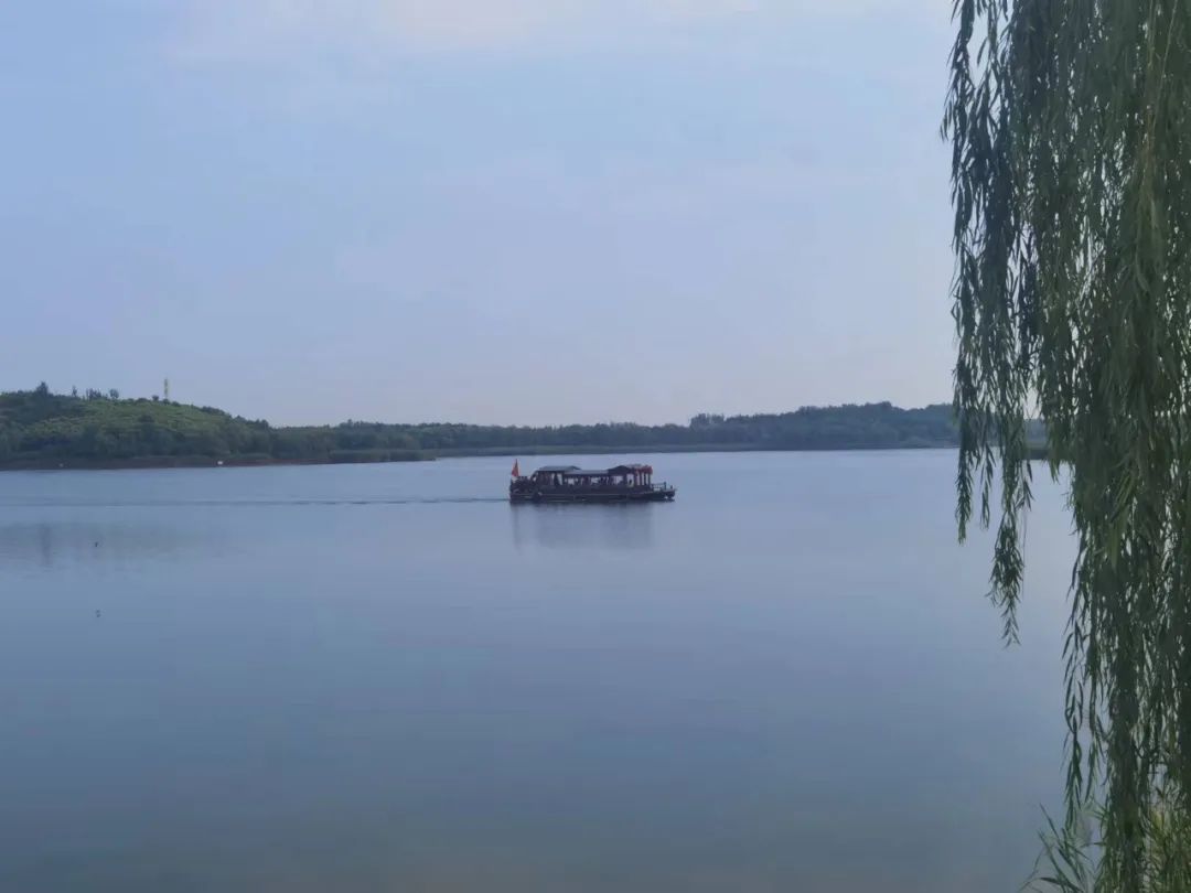 德喜黑青稞藏酒,德喜偷菜