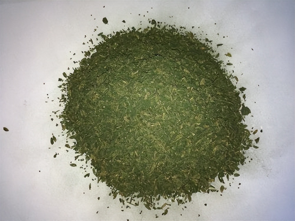 细菌进化后的抗生素,细菌进化变异