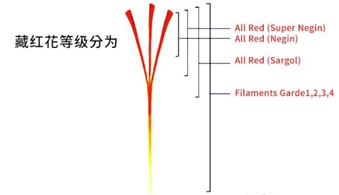 国外藏红花多少钱一只,藏红花过去便宜现在为什么贵
