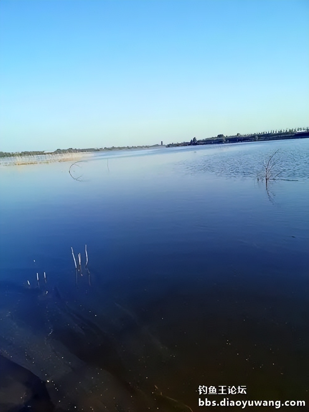 天气变冷怎么钓板鲫,温度升高钓鲢鳙