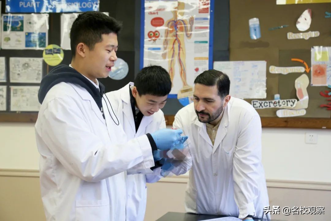 成都宏文体育培训,成都宏文外国语培训学校