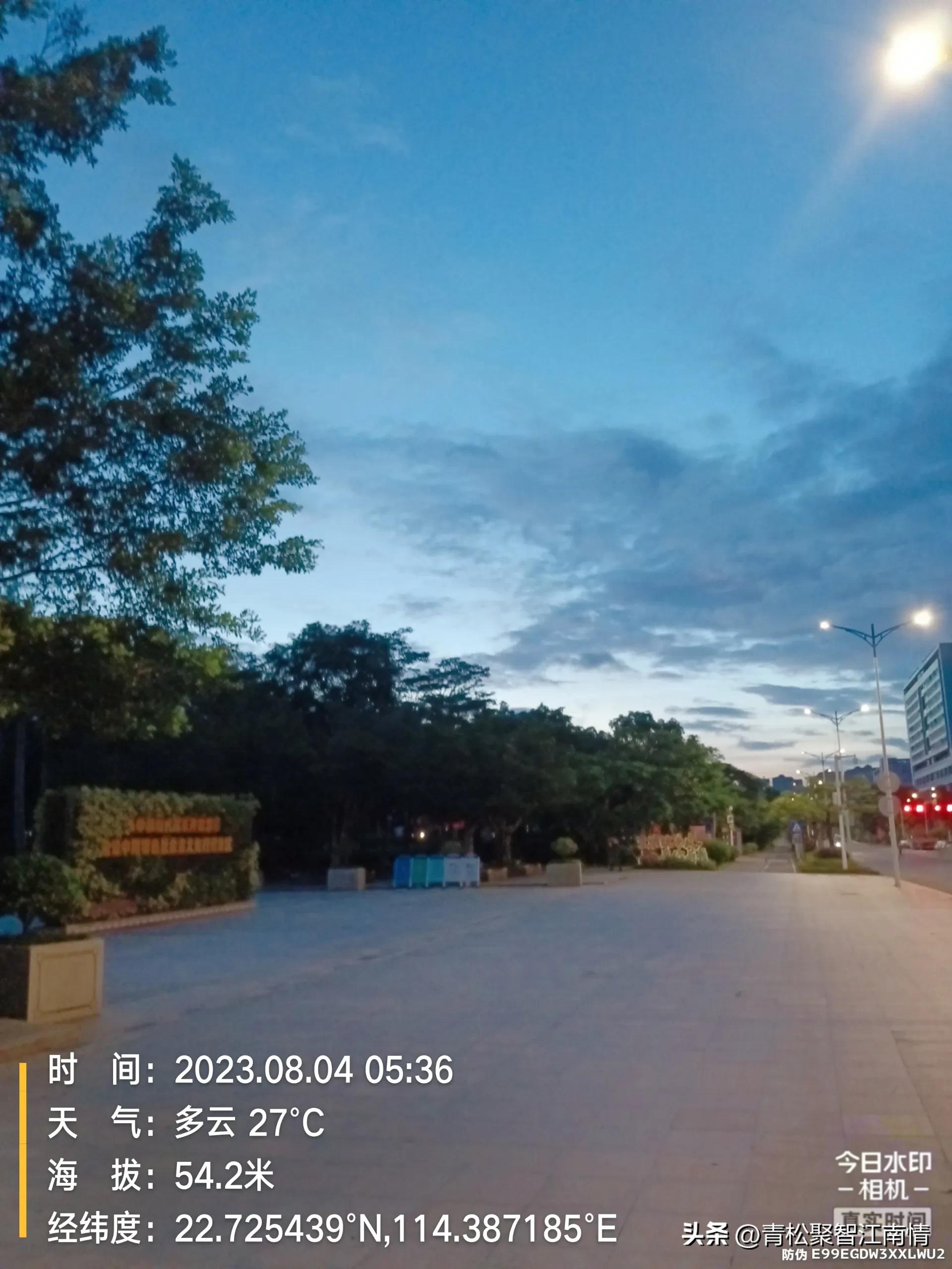 运动之神,运动之神排行榜