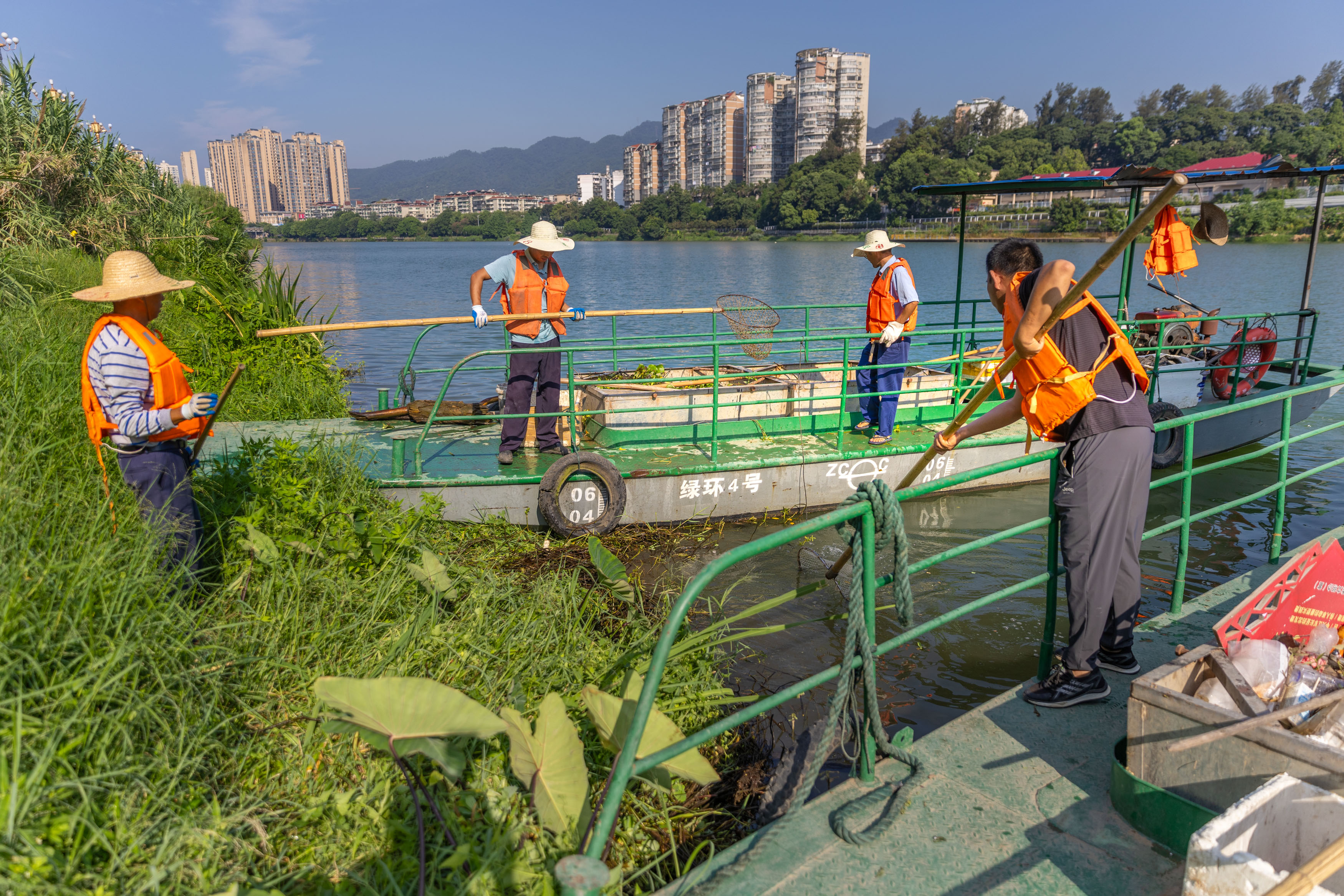 三元：烈日下的沙溪河“清道夫”汗水浸透衣衫，守护“一汪碧水”