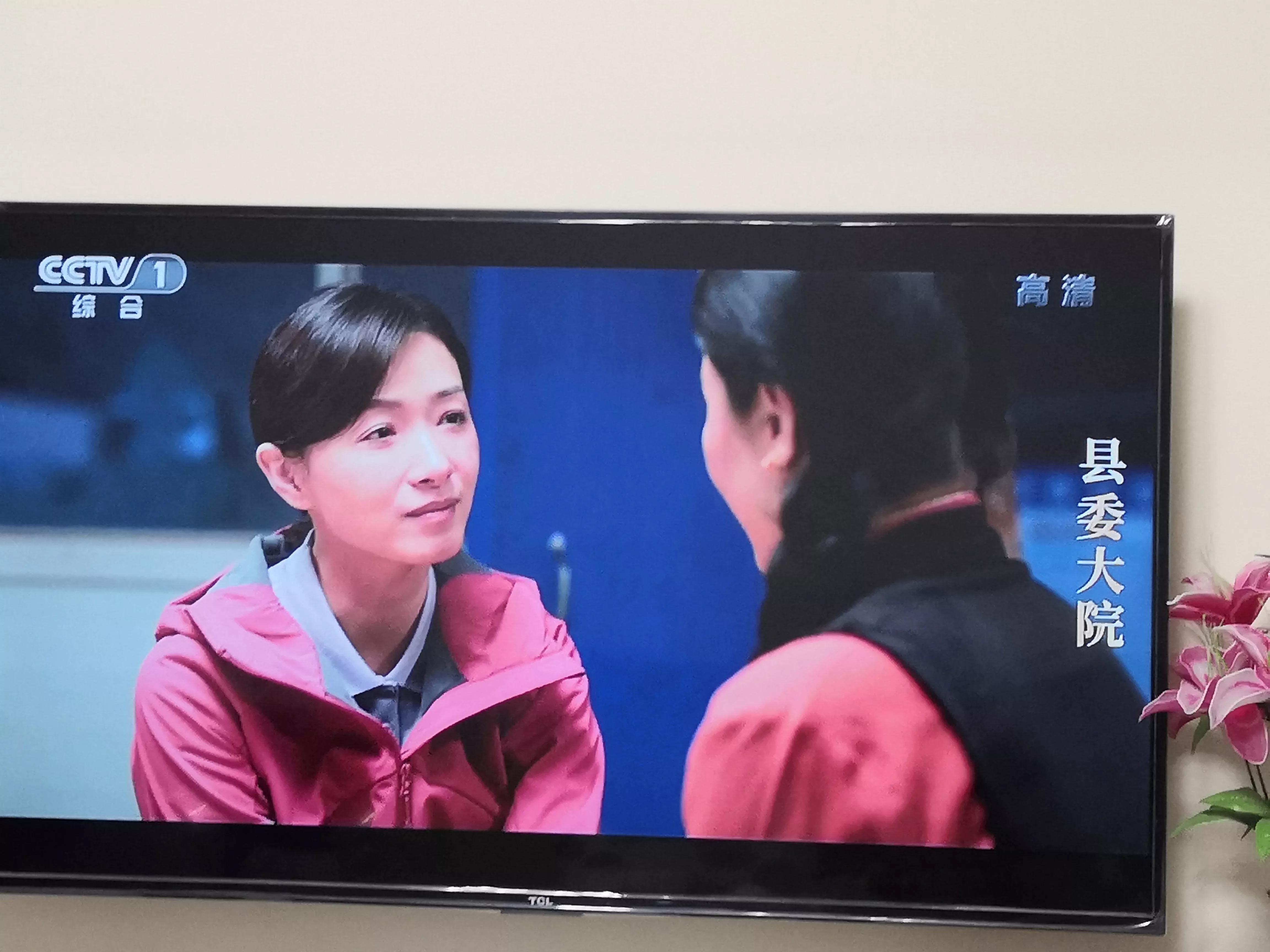 县委大院央视一套,县委大院央视网