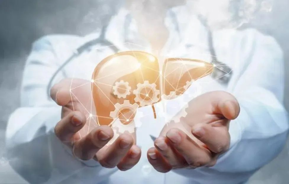 乙肝转阴不是梦！做好这三点，提高转阴率